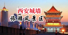 黑丝女白屁股肛交免中国陕西-西安城墙旅游风景区